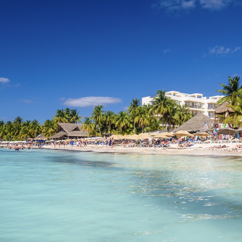 Sargassum Seaweed Season Is Officially Over In Cancun And The Mexican Caribbean Sargassum Seaweed Season Is Officially Over In Cancun And The Mexican Caribbean