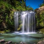 Psst! 8 insider Auckland suggestions