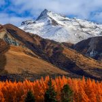 6 important suggestions for post-lockdown NZ journey