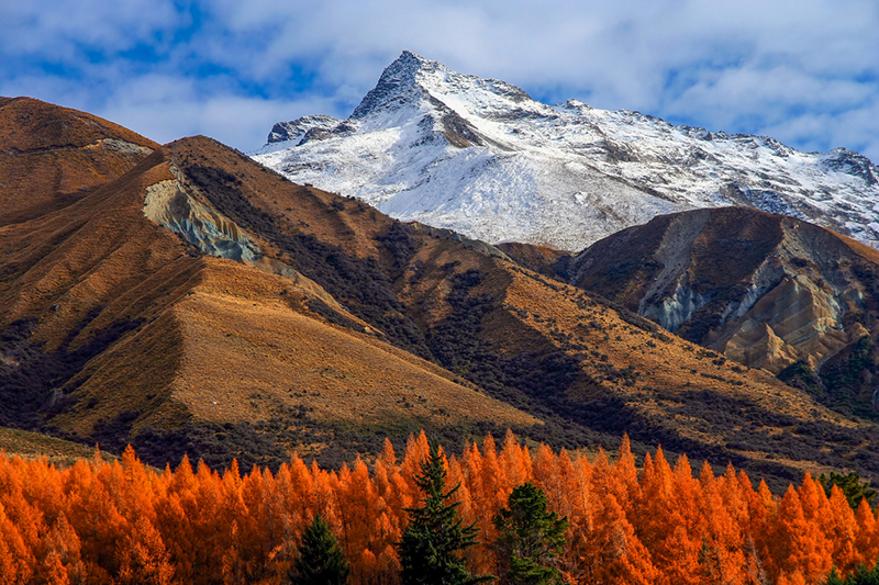 6 important suggestions for post-lockdown NZ journey 6 important suggestions for post-lockdown NZ journey