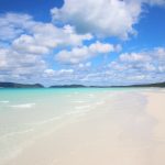 Vacation must-haves! 9 necessities on your subsequent journey