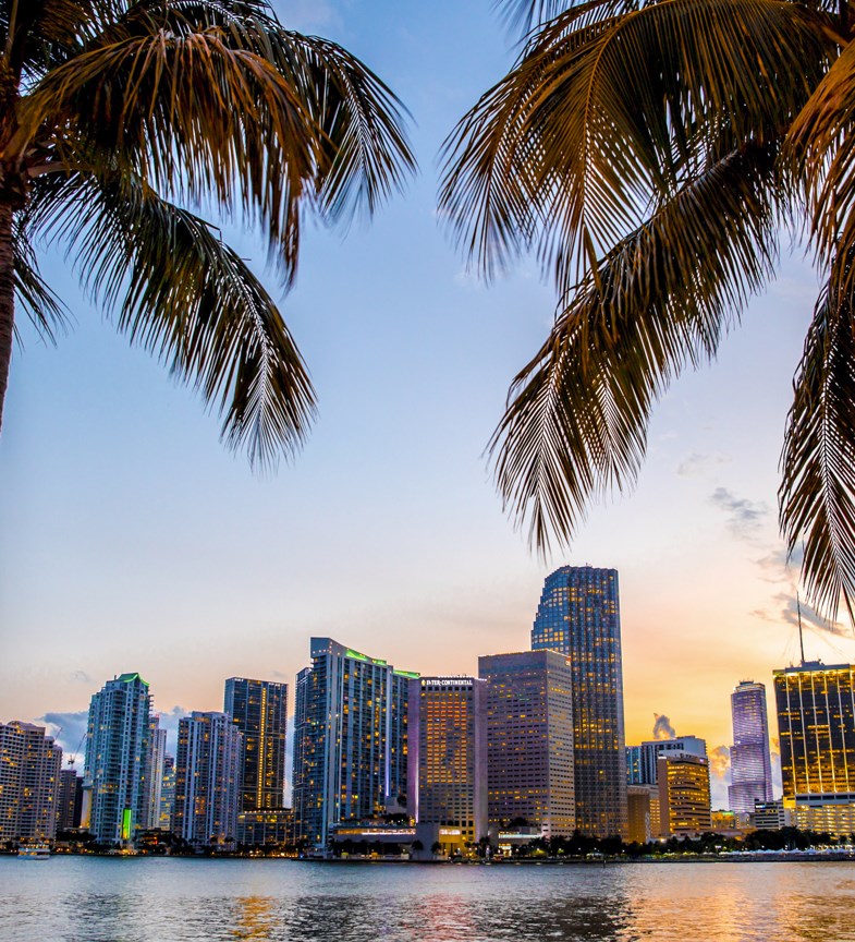 7 Off The Beaten Path Things To Do In Miami This Fall